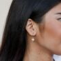 Leopard Jasper Isla Drop Earrings, thumbnail 1 of 4