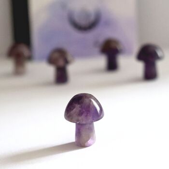 Tiny Amethyst Mushroom Crystal With Gift Message, 4 of 5