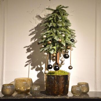 Diva Glass Hurricane Candleholder, 3 of 10