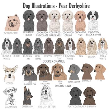 Personalised Illustrated Dog Cushion, 6 of 8