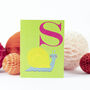 Mini S For Snail Card, thumbnail 3 of 5