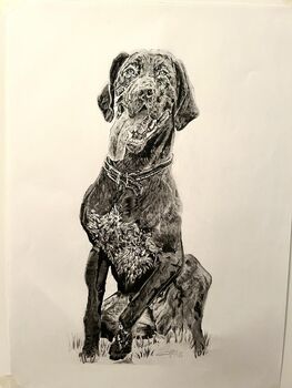 Original Charcoal Pet Portrait, 6 of 10