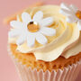 Daisy Flower Cake Charm Pack, thumbnail 1 of 7
