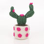 Handmade Felt Fake Plant, Cactus Collection, thumbnail 3 of 5