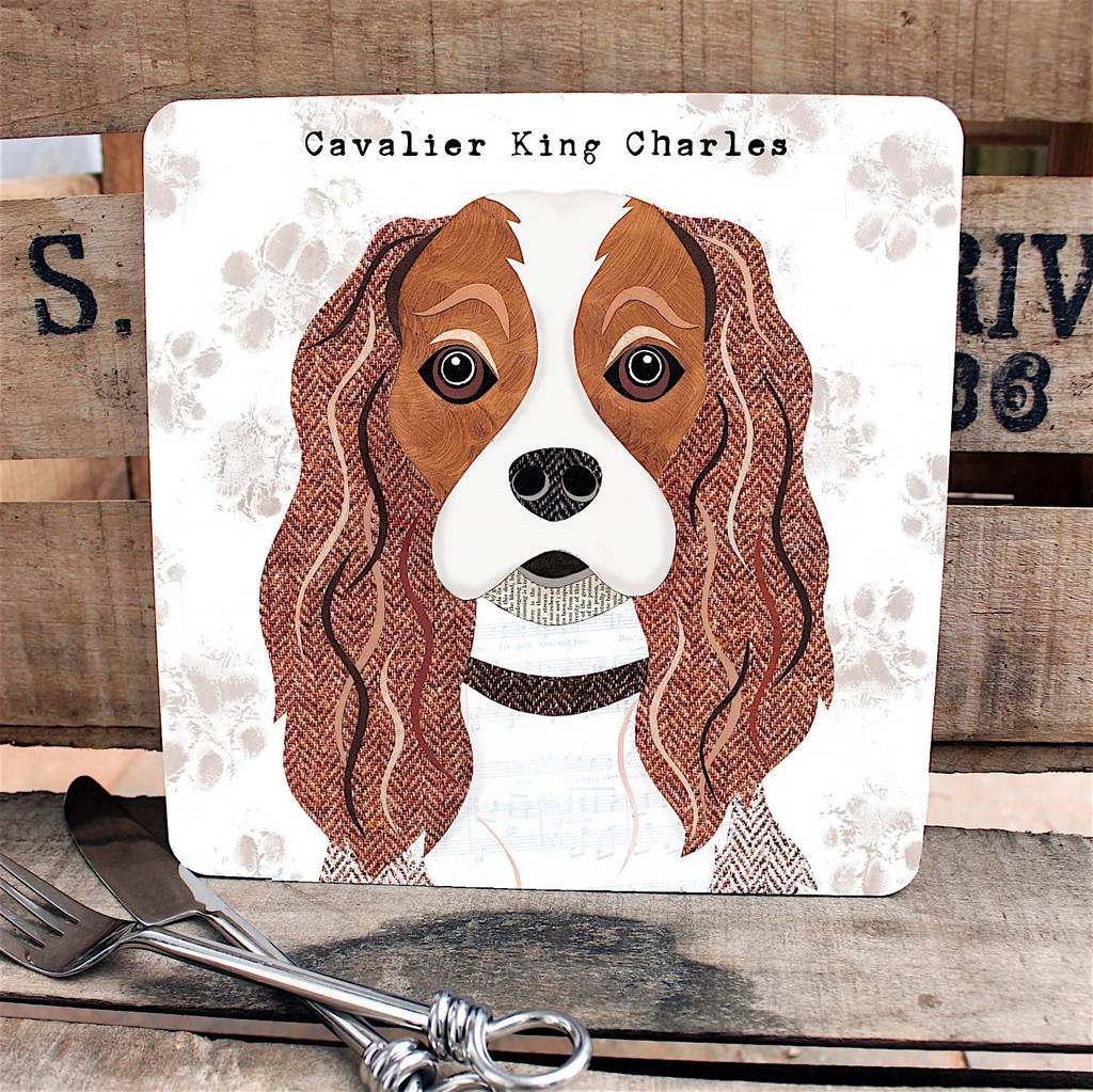 cavalier king charles personalised dog placemat/coaster by simon hart