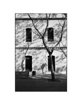 Tree And Windows, Barcelona Photographic Art Print, 3 of 4