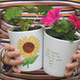 Sunflower Teacher Plant Pot With Sunflower Seeds, thumbnail 1 of 3
