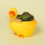 G Decor Cute Duck Ceramic Planter, thumbnail 1 of 4