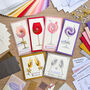 Time To Celebrate Card Making Kit | Iris Folding, thumbnail 1 of 5