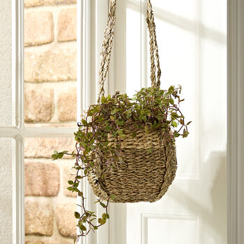 Seagrass Hanging Basket Planter, 3 of 6