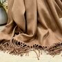 Super Soft Plain Pashmina Style Scarf In Mocha Mousse, thumbnail 3 of 3