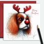 Cavalier King Charles Spaniel. Red Nose, thumbnail 1 of 2