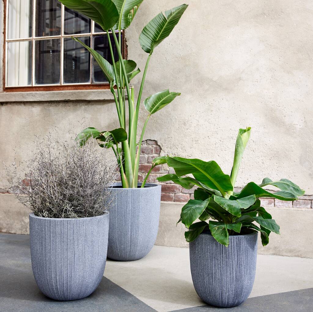 Grey Faux Cement Ribbed Planter, 1 of 2