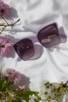 Lilac Full Lens Cat Eye Point Sunglasses, 6 of 6