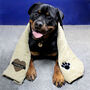 Personalised Microfibre Personalised Pet Towel, thumbnail 3 of 4
