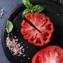 Tomato 'Beefsteak' 12 X Plug Pack, thumbnail 5 of 5