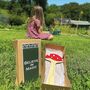 Believe In Magic Toadstool Wall Hanging, thumbnail 4 of 5