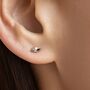 Sterling Silver Seashell Stud Earrings, thumbnail 4 of 7
