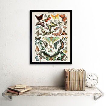 Millot Encyclopedia Page Variety Butterflies Art Print, 2 of 3