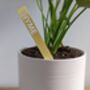 Personalized Plant Marker Garden Laser Acrylic Outdoor, thumbnail 4 of 9