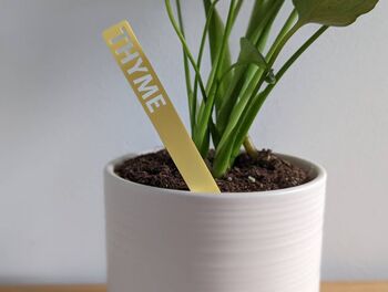 Personalized Plant Marker Garden Laser Acrylic Outdoor, 4 of 9