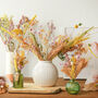 Spring Meadow Dried Flower Posy, thumbnail 5 of 5