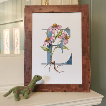E Is For Echinacea Coloured Initial Print, 3 of 10