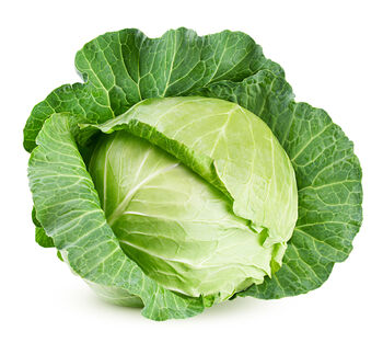 Vegetable Plants Spring Greens 12 X Plant Pack, 4 of 4