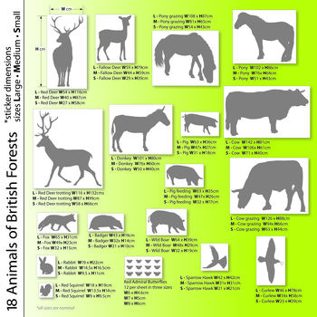 Individual Animals Of British Forests Wall Stickers By The Bright Blue Pig