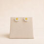 10mm Sterling Silver Daisy Stud Earrings, thumbnail 3 of 7