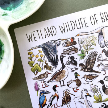 Wetland Wildlife Of Britain Watercolour Postcard, 11 of 11