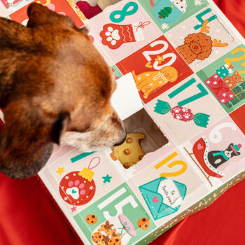 Exclusive Christmas Advent Calendar For Dogs, 7 of 11
