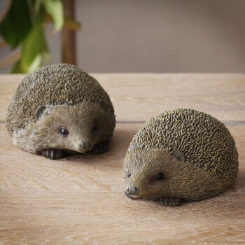 Set Of Two Hedgehog Ornaments, 2 of 3