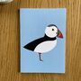 Puffin Notebook, thumbnail 1 of 2