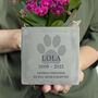 Personalised Pet Memorial Sympathy Plant Pot, thumbnail 1 of 4