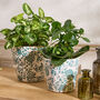 Set Of Two Green Floral Plant Pots, thumbnail 1 of 5
