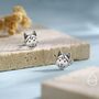 Husky Sterling Silver Stud Earrings, thumbnail 6 of 11