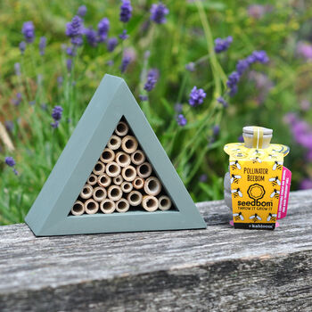 Triangle Bee House Gift Set, 2 of 4