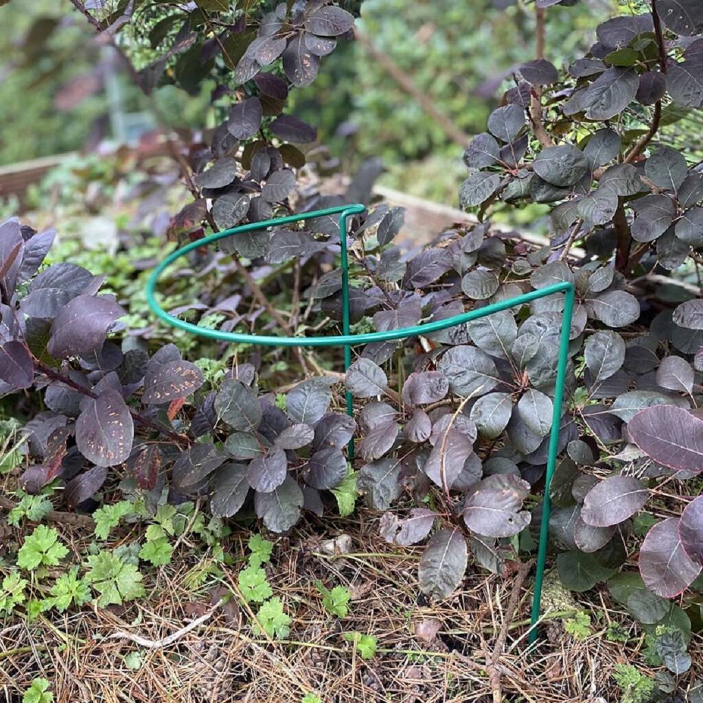 Garden Hoop Plant Supports 30 X 25 X 45cm Two Pack By Garden Selections