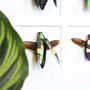 Buprestidae Study Mosaic Box Frame Entomology Taxidermy Insects Bug Butterfly Interior Design Modern Home Decor Wall Hanging Gift Ornament, thumbnail 3 of 7