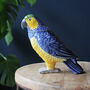 Blue And Yellow Parrot Storage Jar, Ceramic Pot, thumbnail 5 of 6