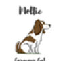 Springer Spaniel Personalised Dog Name Gift Print, thumbnail 4 of 4