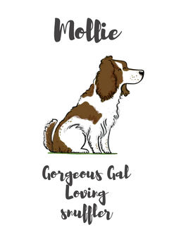 Springer Spaniel Personalised Dog Name Gift Print, 4 of 4