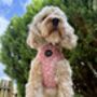 Dusky Pink Daisies Floral Dog Harness, thumbnail 8 of 9