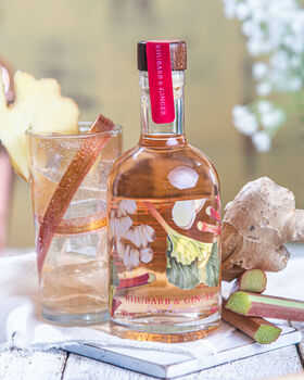 Rhubarb And Ginger Gin Liqueur, 3 of 6