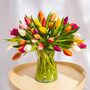 Mixed Tulip Flowers, thumbnail 1 of 2