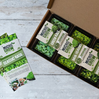 Healthy Greens Micro Grow Selection Box, 2 of 6