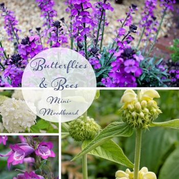 Butterflies And Bees Garden Border Design Template Kit, 4 of 10