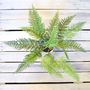 Faux Green Bracken Fern Plant Small Or Large, thumbnail 5 of 7