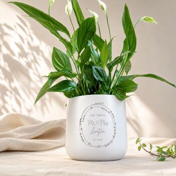 Personalised 1st Anniversary Gift | Indoor Pot Add Plant, 2 of 5